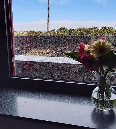 Yes Pico - By The Sea 