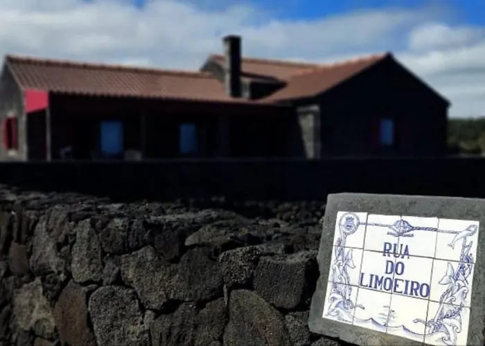 Yes Pico - By The Sea 