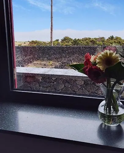 Yes Pico - By The Sea 