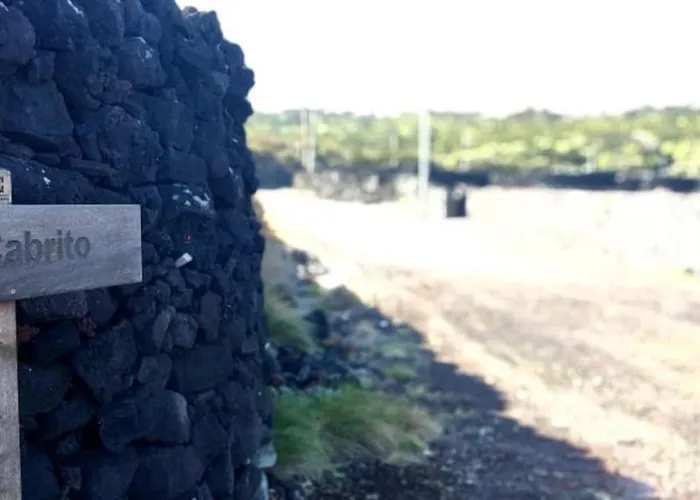 Yes Pico - By The Sea 