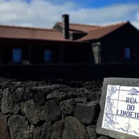 Yes Pico - By The Sea 