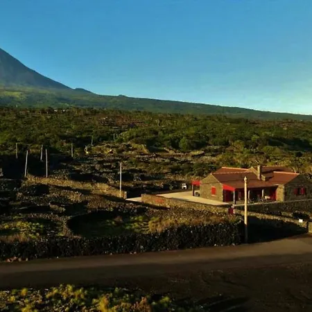 Yes Pico - By The Sea 